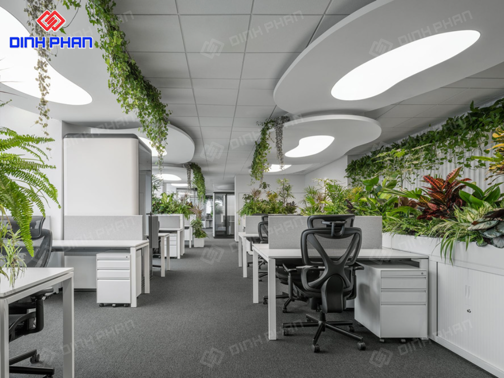 Noi that van phong buon ma thuot 3